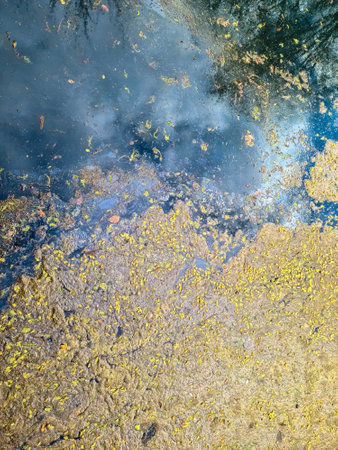 Algae bloom floating on surface of polluted river water reflecting cloudy sky, environmental conceptの写真素材
