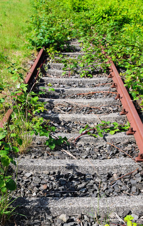 Rusty rails and concrete sleepers disappearing in the vegetation, showing the concept of abandonment...
