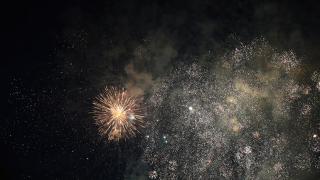 Colorful fireworks bursting against the dark night sky, filling the atmosphere with festive energy...