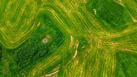 Green agricultural fields creating natural patterns, seen from a high aerial perspectiveの写真素材