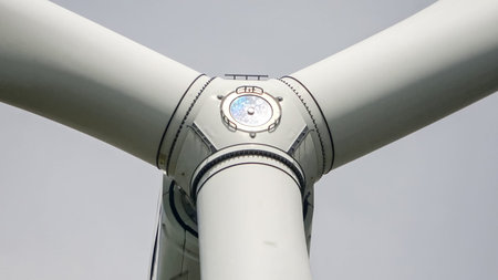 Wind turbine rotor and blades providing renewable and sustainable electricity in a wind farm