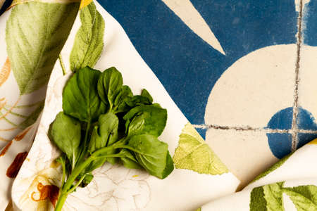 Fresh mint branch to prepare drink on kitchen table
