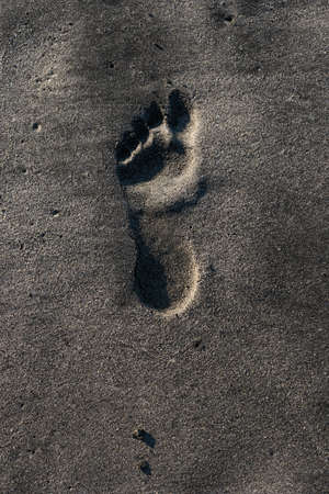Footprint of a person in the sand on the beach with the ocean next to itの写真素材