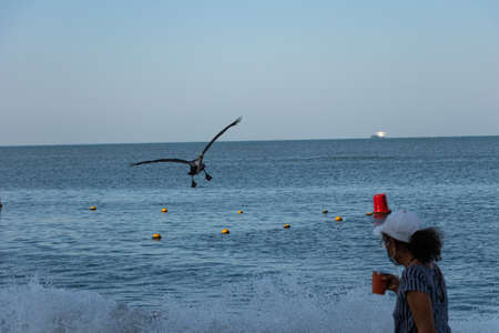 Pelican flying near woman on the beach out of focus with the sea in the distanceの写真素材