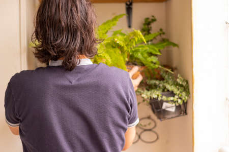 Back of man holding small plants indoor garden plant