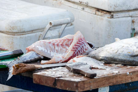 Raw fish preparing it to eat in latin american beach