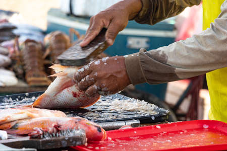 Fisherman preparing fish to sell on the Colombian beach
