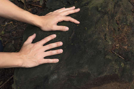 Hands of man investigating the texture of moss on a rock in the tropical forest