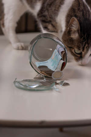 Broken glass piggy bank with Colombian coins