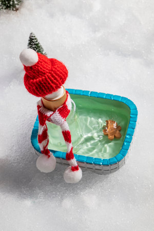 Get ready for some holiday fun! This creative photograph showcases a miniature gingerbread cookie...
