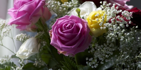 Pink rose at colorful rosebushの写真素材