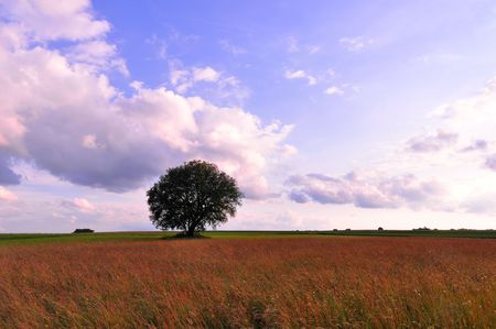 A field on the heights of the swabian alb in late summer evening, Baden-Wuerttemberg, Germanyの写真素材