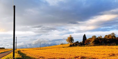 Swabian Alb Landscape with lonely power poles on a September eveningの写真素材
