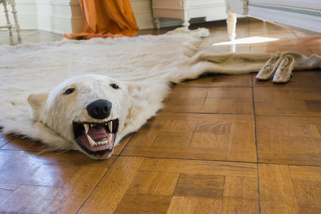 Ice Bear Carpet Castle Drachenfels Interior Hunting Trophy Decadence Wild Copy Space Background.の写真素材