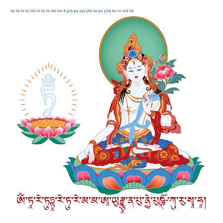 White Tara in Tibetan Buddhism, is a female Bodhisattva in Mahayana Buddhism who appears as a female Buddha in Vajrayana Buddhism. Buddha. Color design. Vector illustration.のイラスト素材