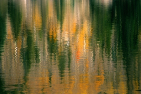 Abstract reflections of yellow aspen trees and evergreens in Bear Lake, Rocky Mountian National Park の写真素材