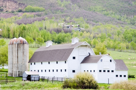 Large, historic white barn at foot of Wasatch Mountians near Park City in flat, light rain のeditorial素材