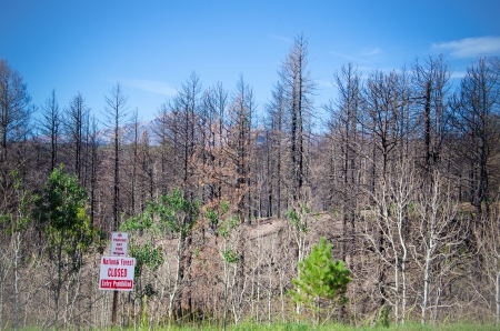 Sign shows that the forest is closed due to devastating impact of Waldo Canon fire off of Rampart Range Road near Woodland Park, Colorado の写真素材