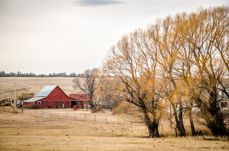 Red barn and trees in February in late afternoon, overcast light in Colorado のeditorial素材