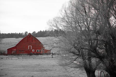Classic red barn with back and white landscape in El Paso County, Colorado during late afternoon on a February day のeditorial素材
