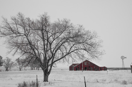 Black and white image with red barn, windmill and tree during snowstorm on plains of eastern El Paso County, Colorado のeditorial素材
