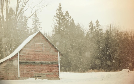 Red shedの写真素材