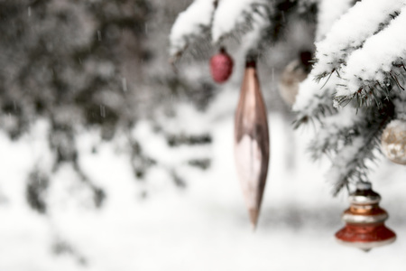 Vintage ornaments hanging from pine tree covered in snow in forest.の写真素材