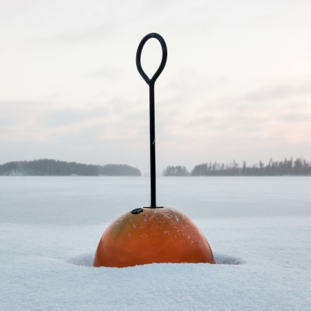 Frozen buoy at a frozen lake