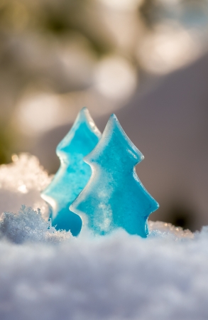 Spruce trees made of iceの写真素材