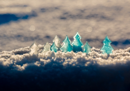 Spruce forest made of iceの写真素材