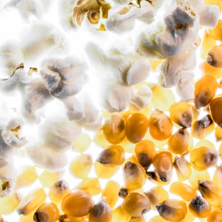 Popcorn kernels and ready-made popcorn.の写真素材