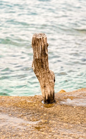 Wooden pole on the seasideの写真素材