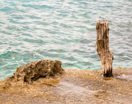 Wooden pole on the seasideの写真素材