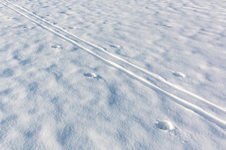 Ski track crossing white snowdriftの写真素材