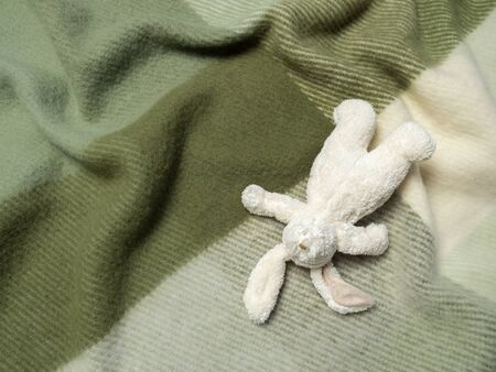 Plush toy bunny on green woollen blanketの写真素材