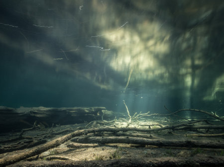 Long exposure underwater shot showing motion of water surfaceの写真素材