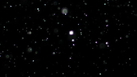 Snowfall Bokeh Lights on Black Background, Shot of Flying Snowflakes in the Airの写真素材