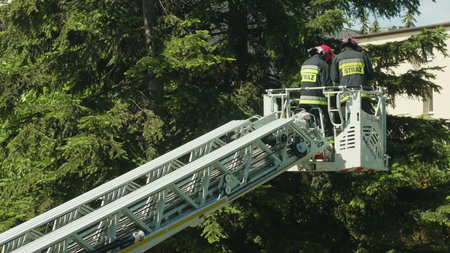Lublin, poland - July 2017: Firefighters preparing to cut spruce branches. City scene. Long shot.