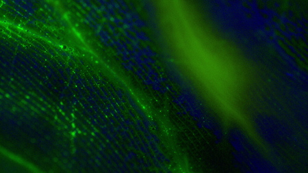 Macro skin, according to the folds of which flowing paint.