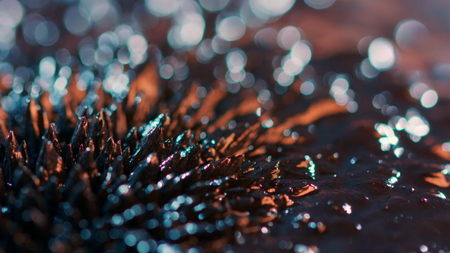 The natural phenomenon of magnetism ferrofluidic substances under the action of a neodymium magnet can create really impressive visual effects if examined under appropriate conditions.の写真素材