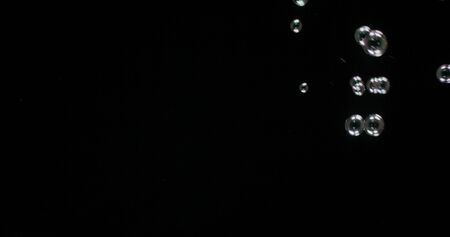 Large and clear water bubbles floats over a black background