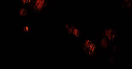 The fire spreads through the smoldering steel wool, forming many sparks and isolated beautiful combustion on black background that looks like strands of neurons in the brainの写真素材