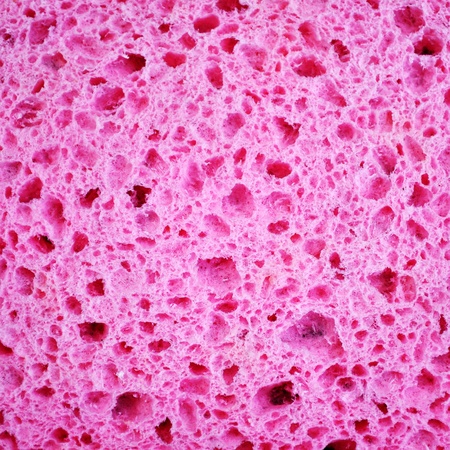 Pink Sponge Textureの写真素材