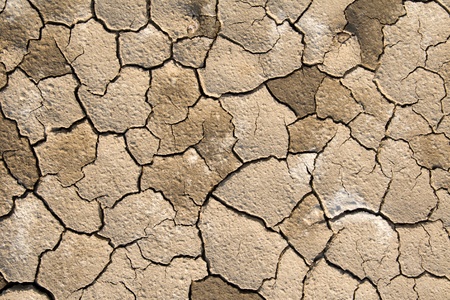 Dried Soilの写真素材