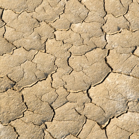 Dried Soilの写真素材