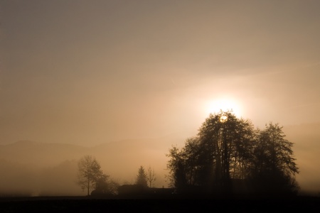 morningの写真素材