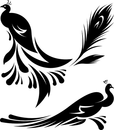 Beautiful peacocks vector illustrationのイラスト素材