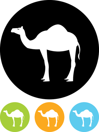 Camel vector iconのイラスト素材