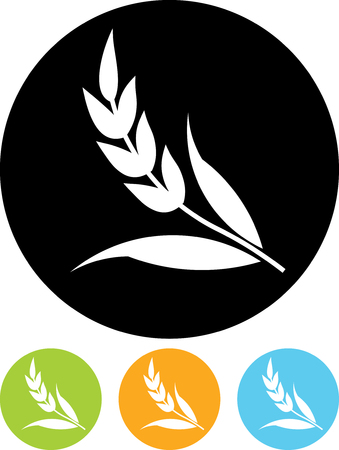 Vector icon isolated - Ear of wheat cerealのイラスト素材