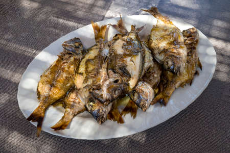 Plate full with fresh grilled white adriatic fishの写真素材